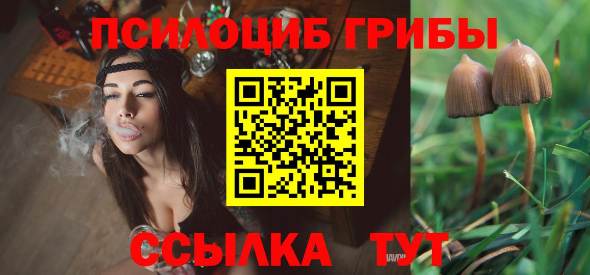 Галлюциногенные грибы Psilocybine cubensis Электросталь